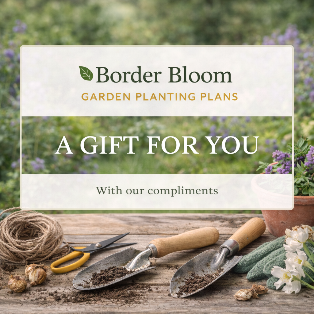 Border Bloom Gift Card