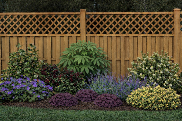 Shady  Pet Friendly border