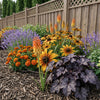 Wildlife Border