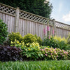 Shady  Pet Friendly border