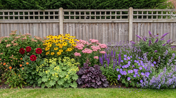 Cottage Garden Border