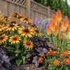Wildlife Border