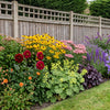 Cottage Garden Border