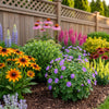 Cottage Garden Border