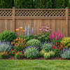 Cottage Garden Border